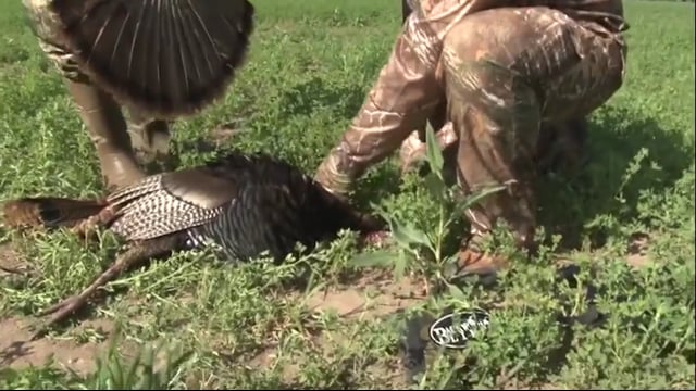Backwoods Life - Royer Hunts