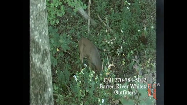 Monster Trophy Whitetails - Kentucky Hunt