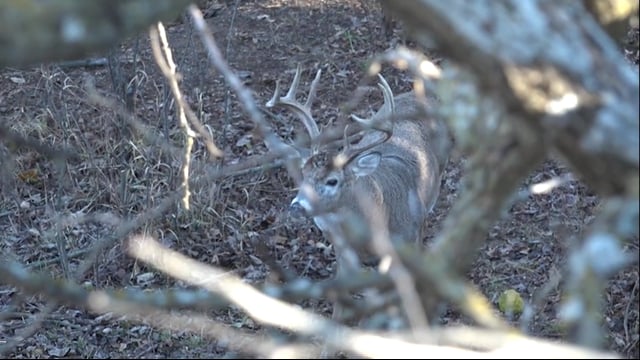 Spiritual Outdoor Adventures - Bows, Bucks and Kansas Part 1 (Revised)