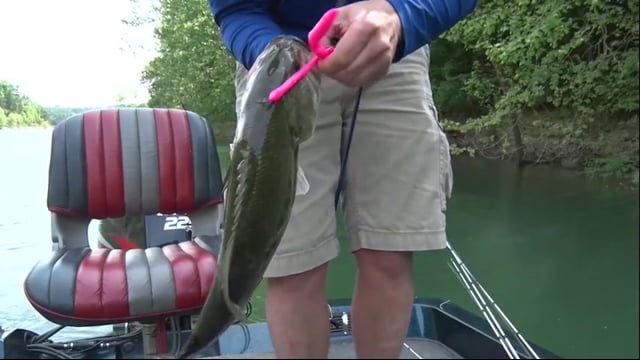 Aaron Outdoors - Tight Lines & Rippin' Lips