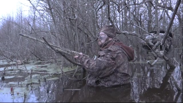 Real South Hunting - Arkansas Quack Attack