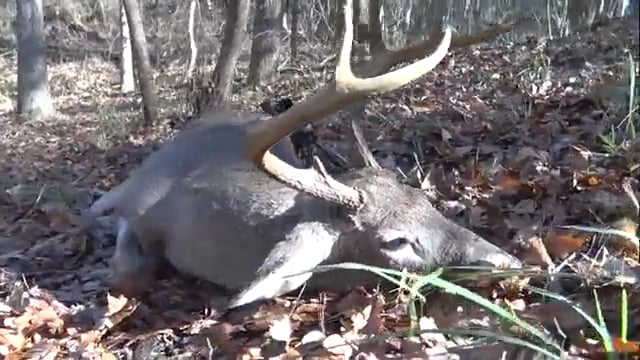Real South Hunting - Stan the MAN