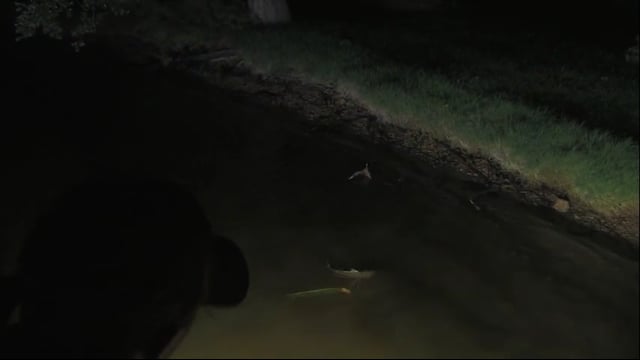 Hunt Wicked Close The Next Level - Bow Fishing with Gar Wars