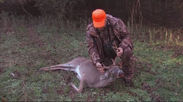 O'Neill Outside - FOOD PLOTS