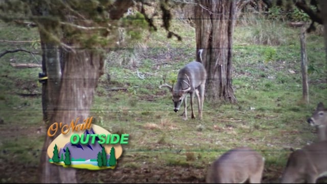 O'Neill Outside - Travis East GA Whitetails