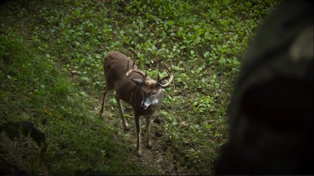 Backwoods Life - Pike County Curse