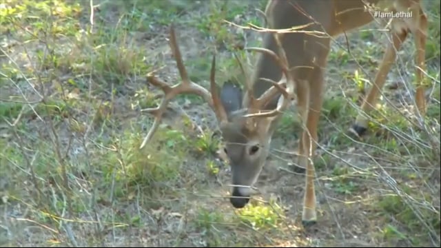 Spook Nation: I am Lethal - Episode 1 - Live to Hunt
