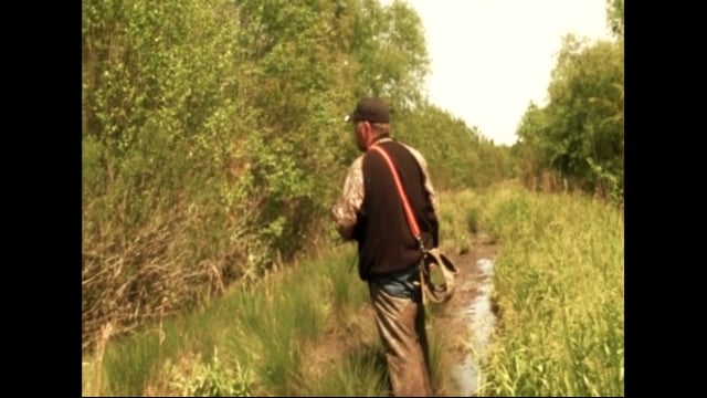 Southern Hog Slayers - A Look Back