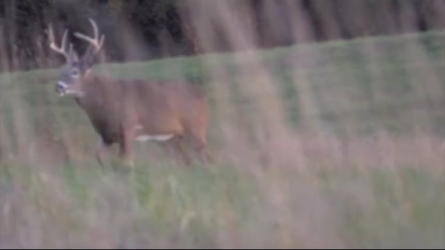 Mass Pursuit TV - Iowa Hunt