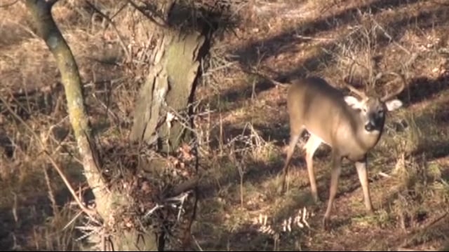 Mass Pursuit TV - Oklahoma Hunt