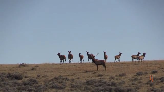 Dirt Road Outdoors TV - Powder River Bucks Part 2