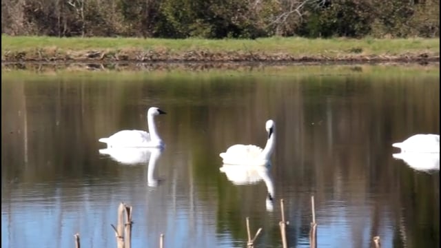 704 Outdoors - 704 Invades Hyde County Part 2