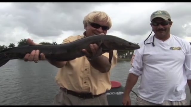 Jimmy Houston Outdoors - Turkey Hunting & Snakehead Fishining