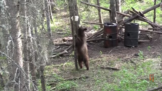 Dirt Road Outdoors TV - Blueberry Hill #2 2015