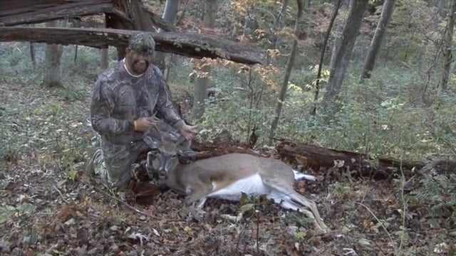 Whitetail Reign - Bluegrass & The Beast! Buck to the Future