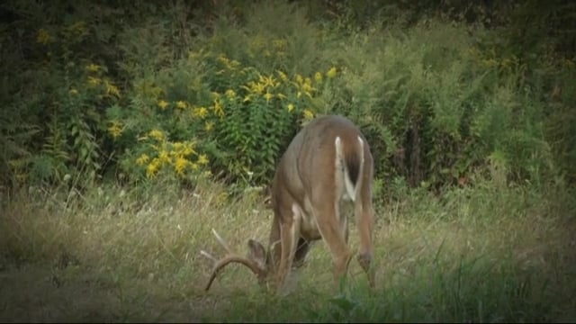 Blitz TV - Episode 3 - New Jersey Early Season