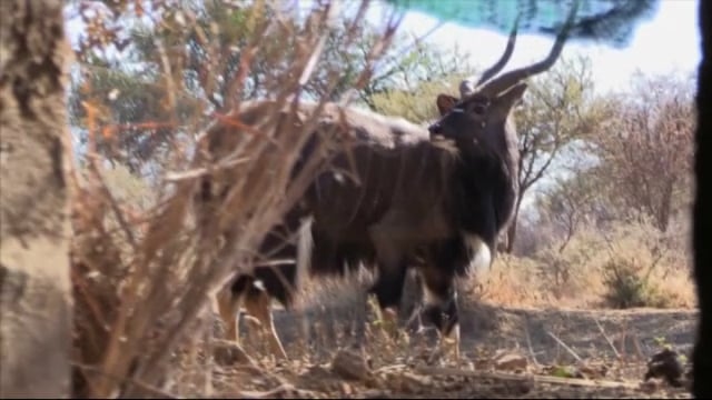 Dirt Road Outdoors TV - Show 21 - Kansas Gun!!!