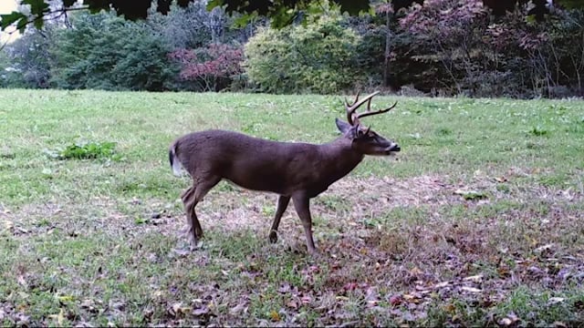 Blitz TV - Episode 8 - Western Illinios Trophy Outfitters