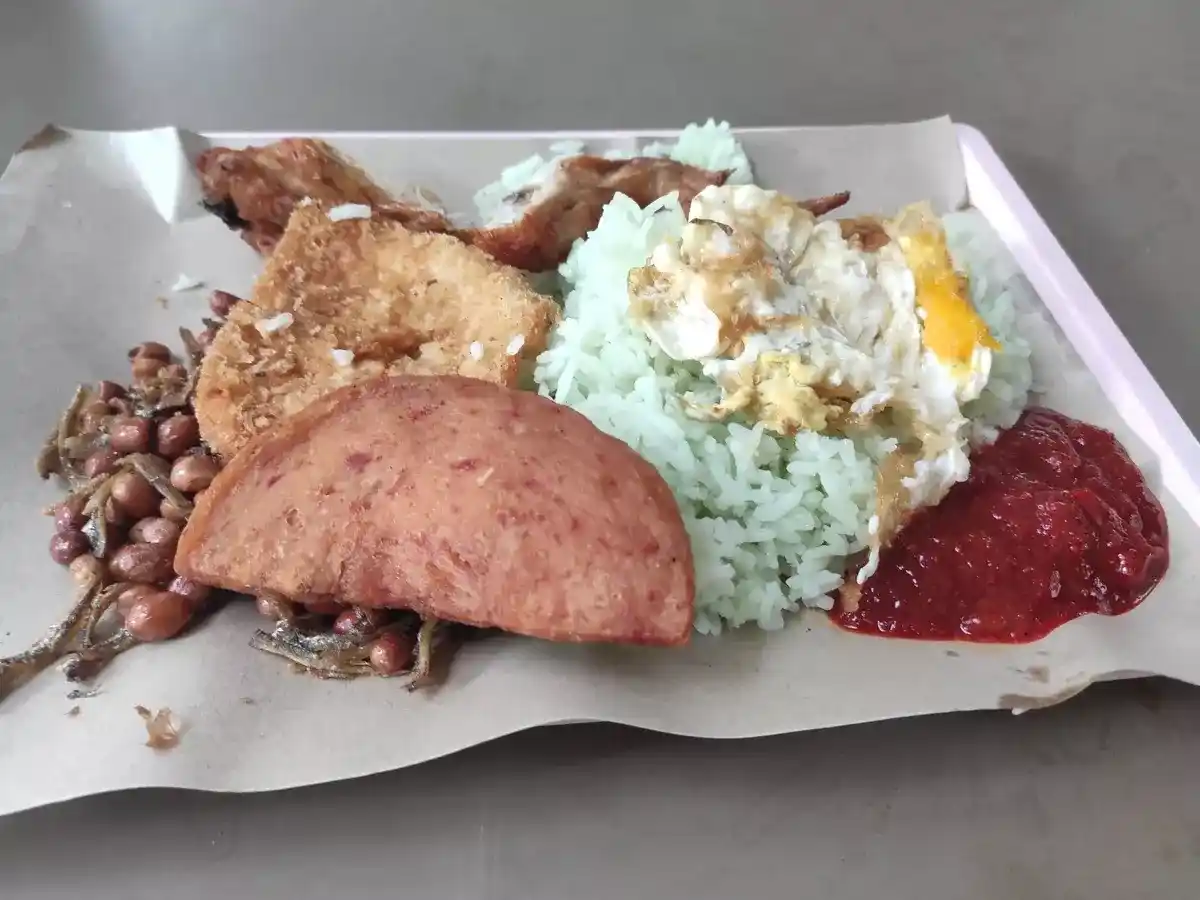 Nasi Lemak as Metaphor. I was lolling around in bed. The…