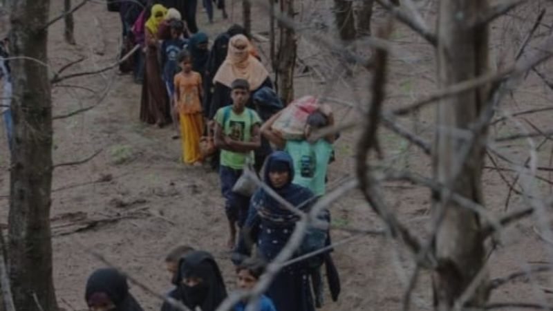 বাংলাদেশমুখী ১০০ রোহিঙ্গাকে ফেরত পাঠিয়ে বিশ্বকে নতুন বার্তা ঢাকার