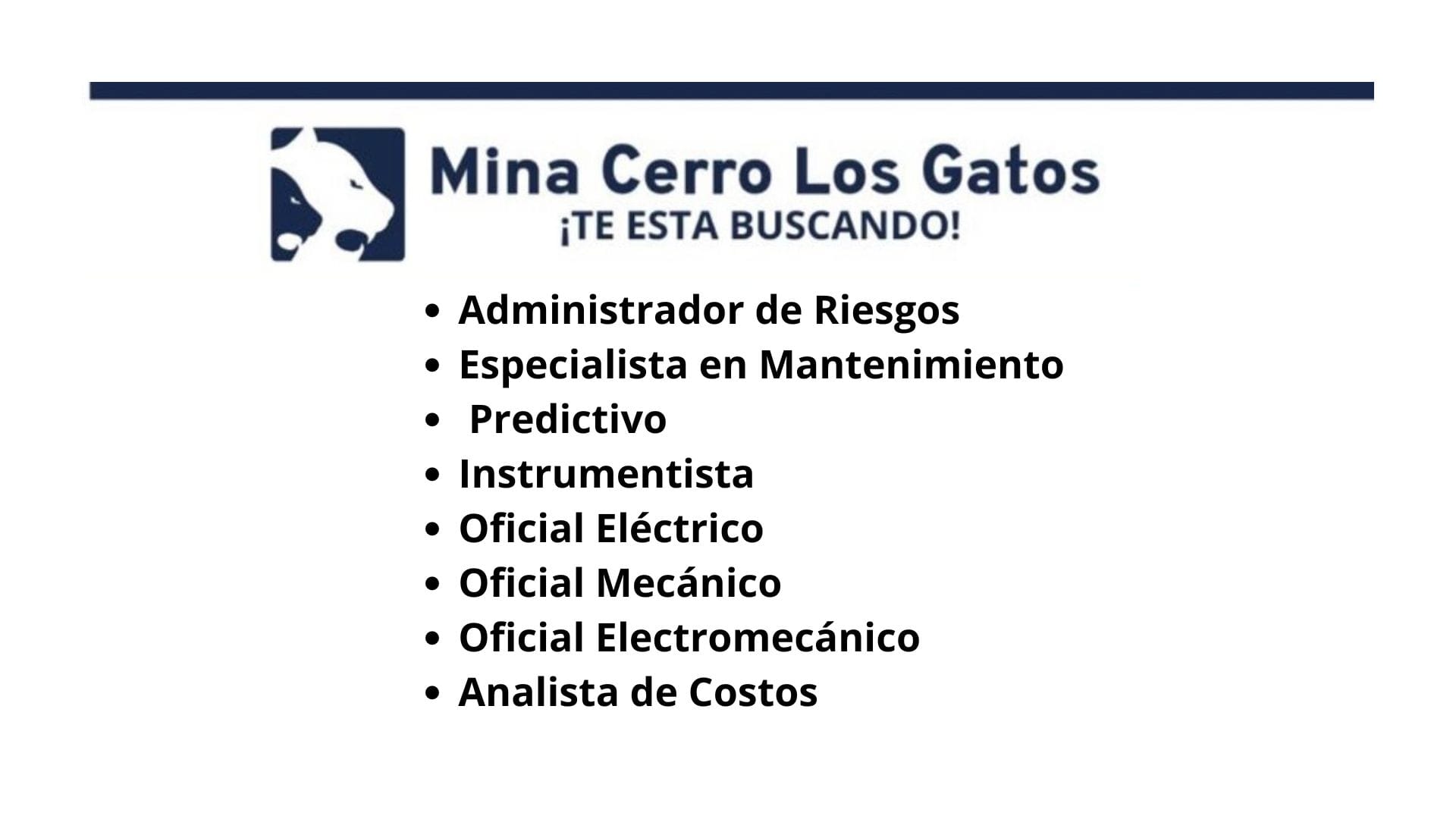 Oportunidad laboral Mina Cerro Los Gatos