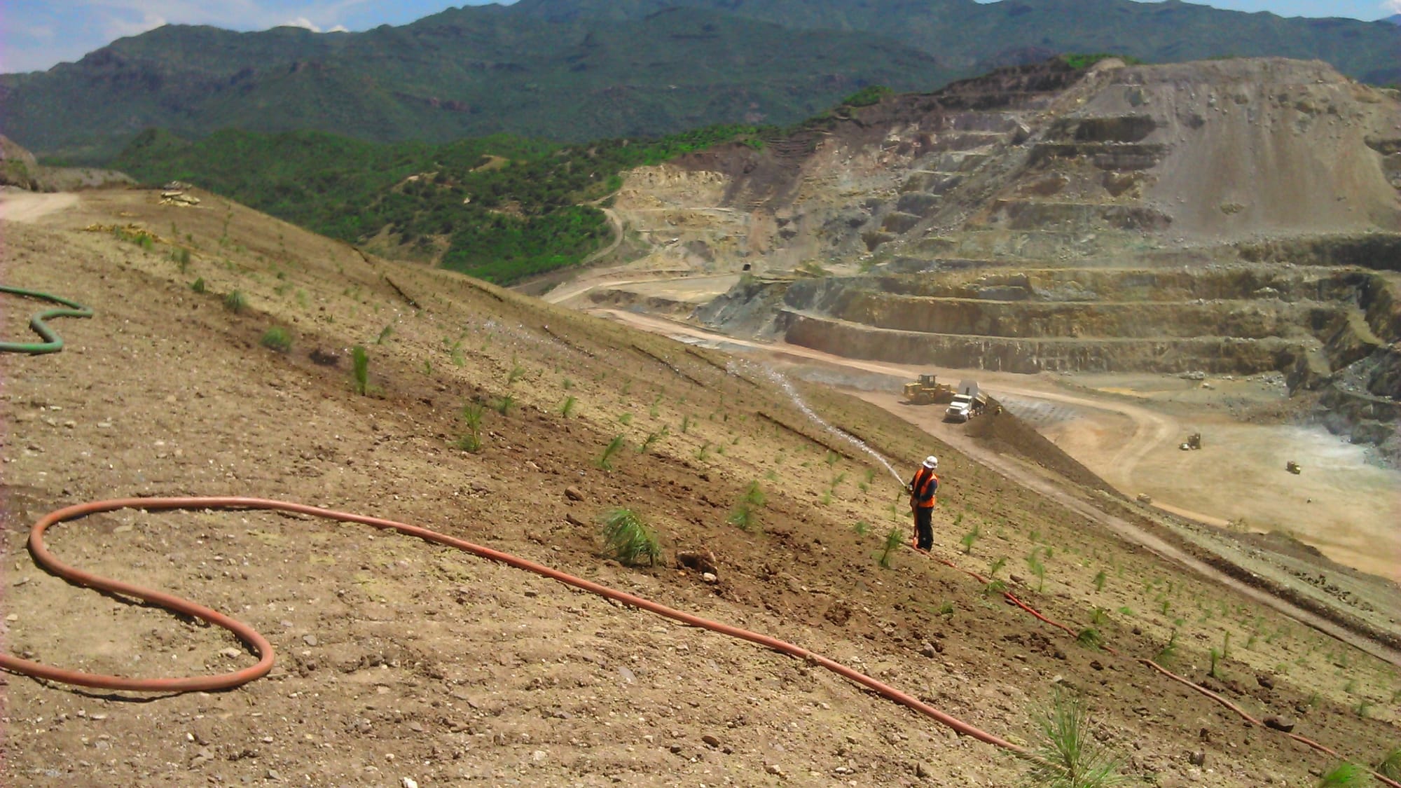 La minería, una industria comprometida con la reforestación y la biodiversidad