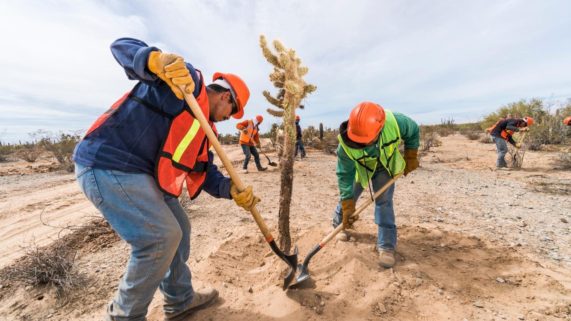 Minera Penmont contribuye a conservar la biodiversidad de Sonora