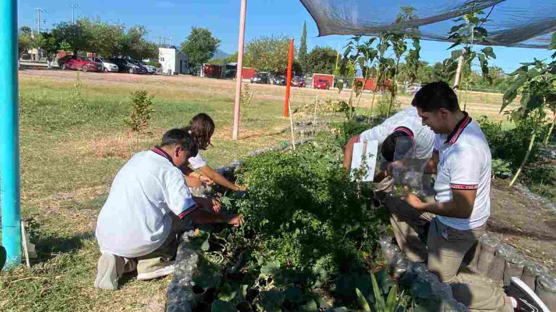 Sembrando Transición: Un Proyecto Comunitario para Jóvenes en Coahuila