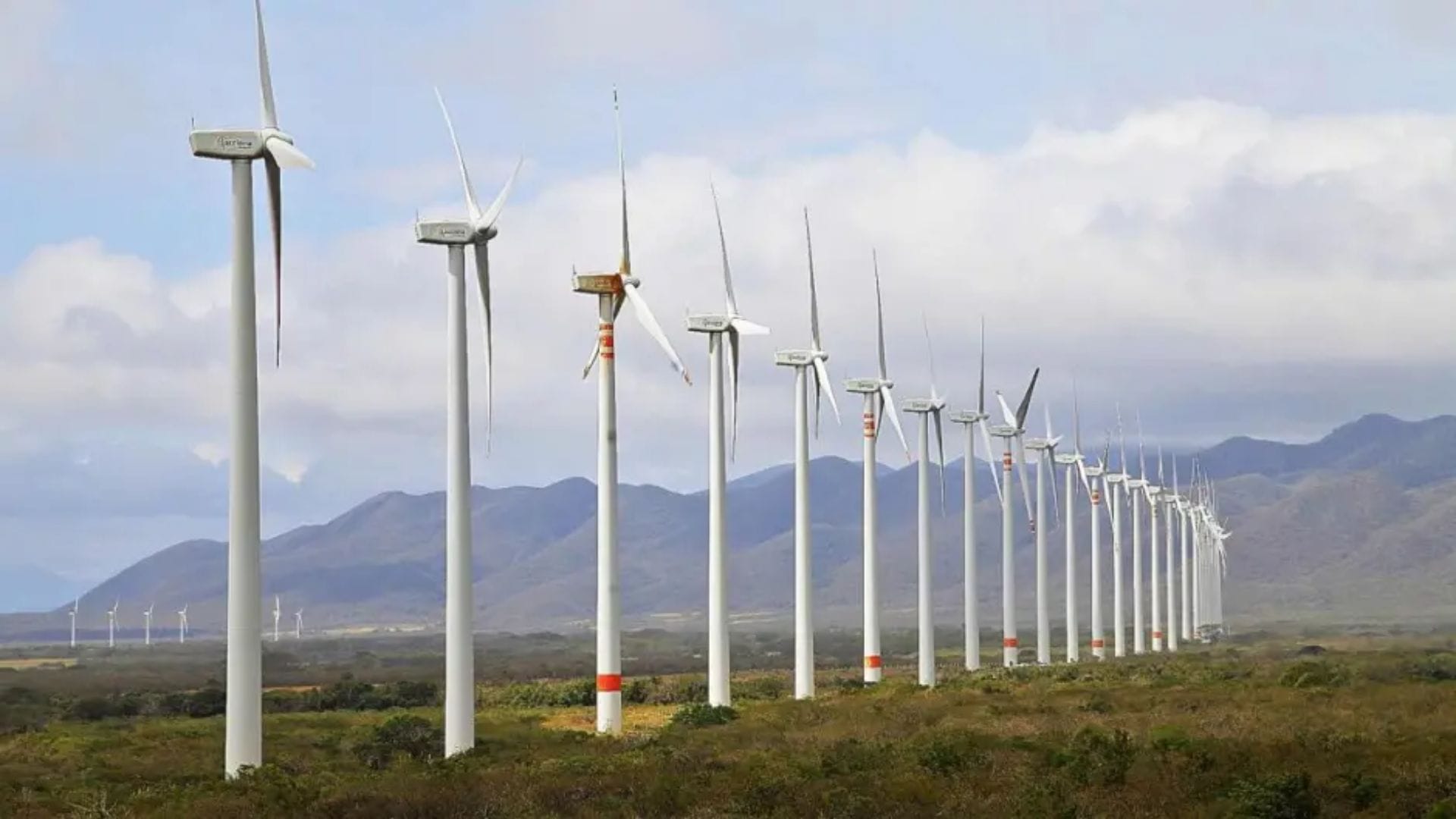 Década de Éxito: El Parque Eólico 'El Retiro' de Grupo México Celebra 10 Años de Energía Limpia y Desarrollo Comunitario