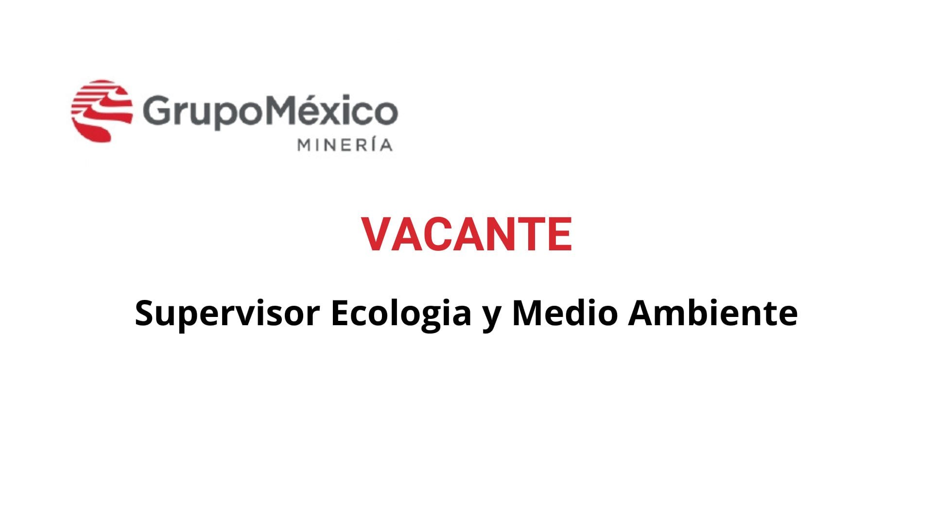 Oportunidad Laboral Grupo México