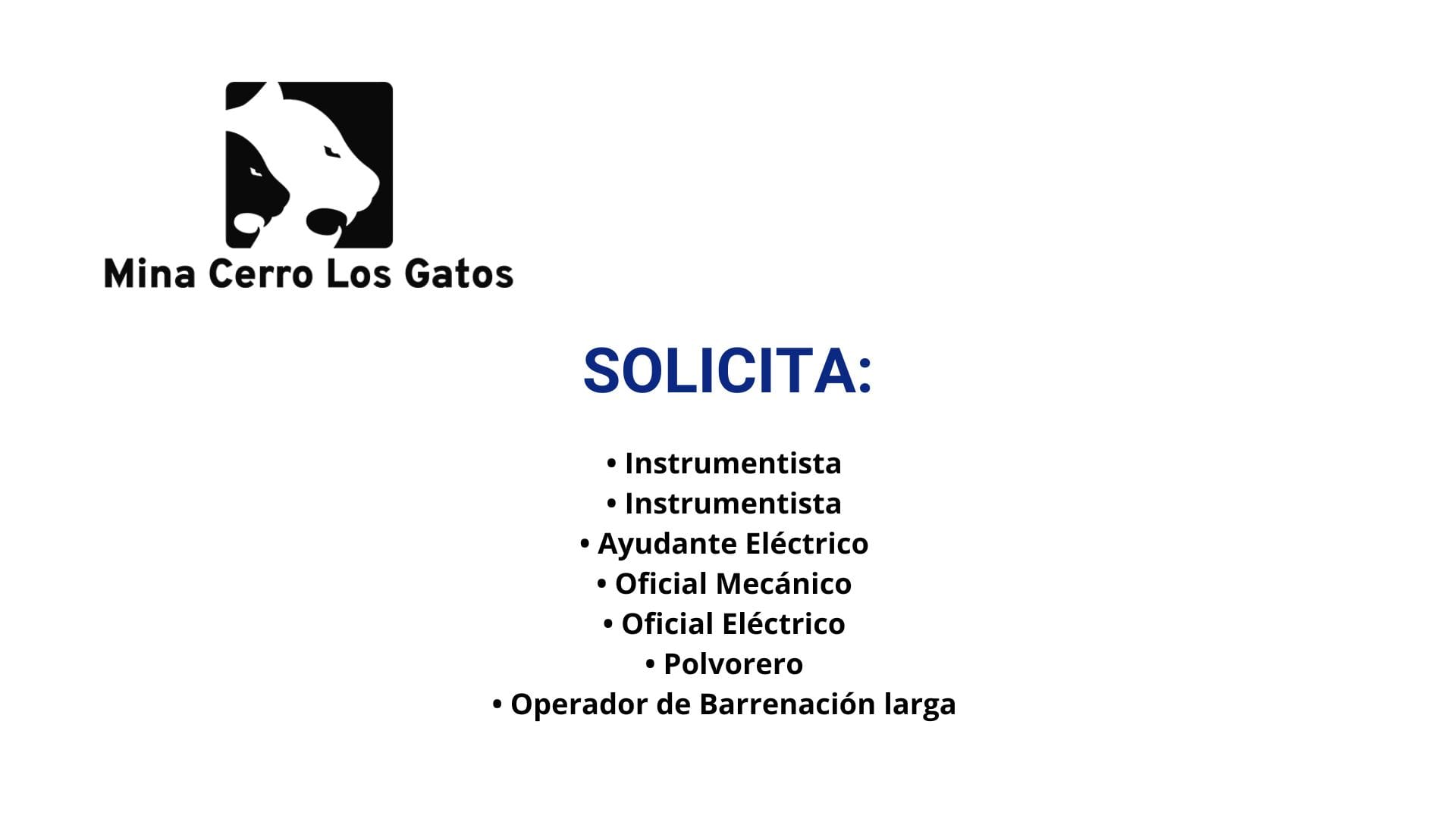 Oportunidad Laboral Mina Cerro los Gatos