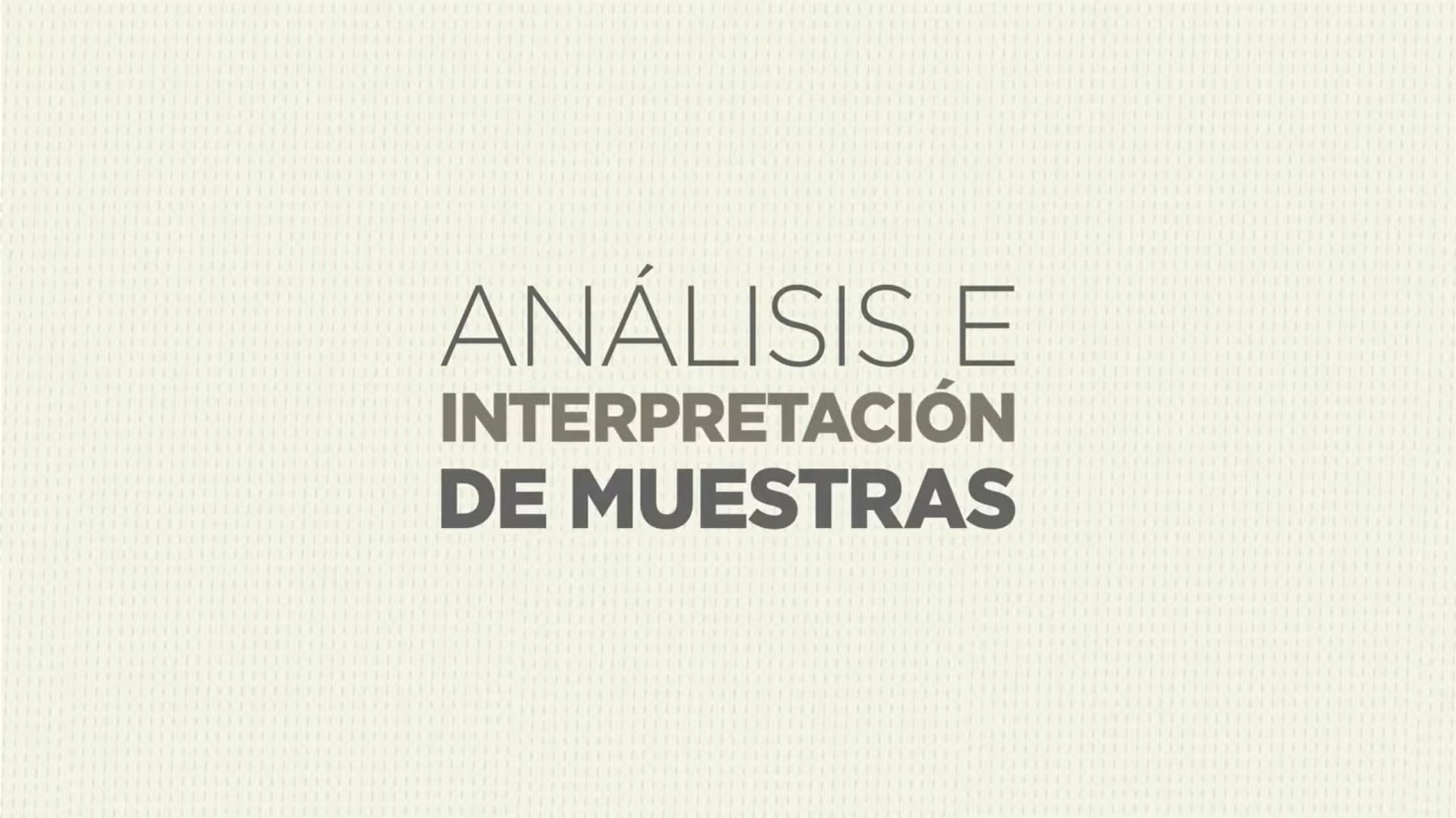 Análisis e Interpretación de Muestras Geológicas.