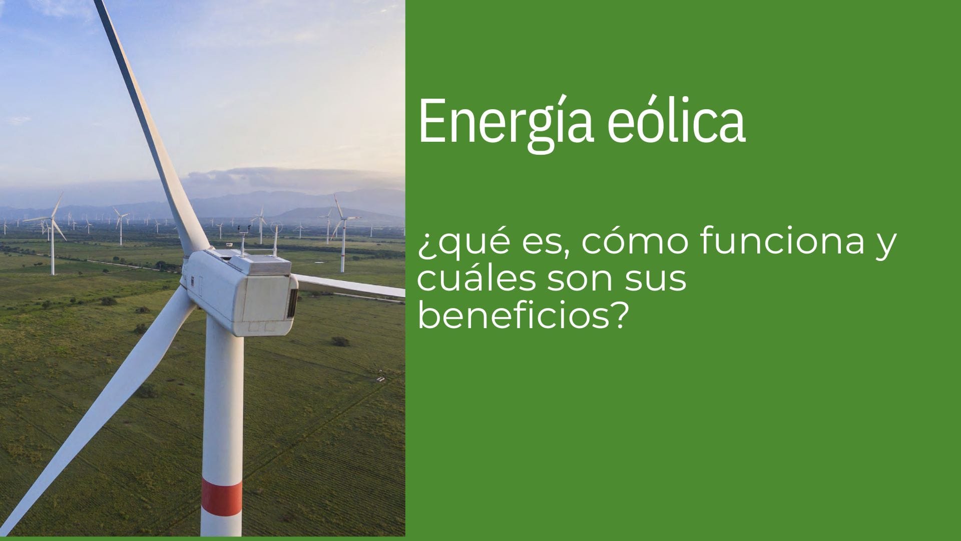 Energía eólica: ¿qué es, cómo funciona y cuáles son sus beneficios?