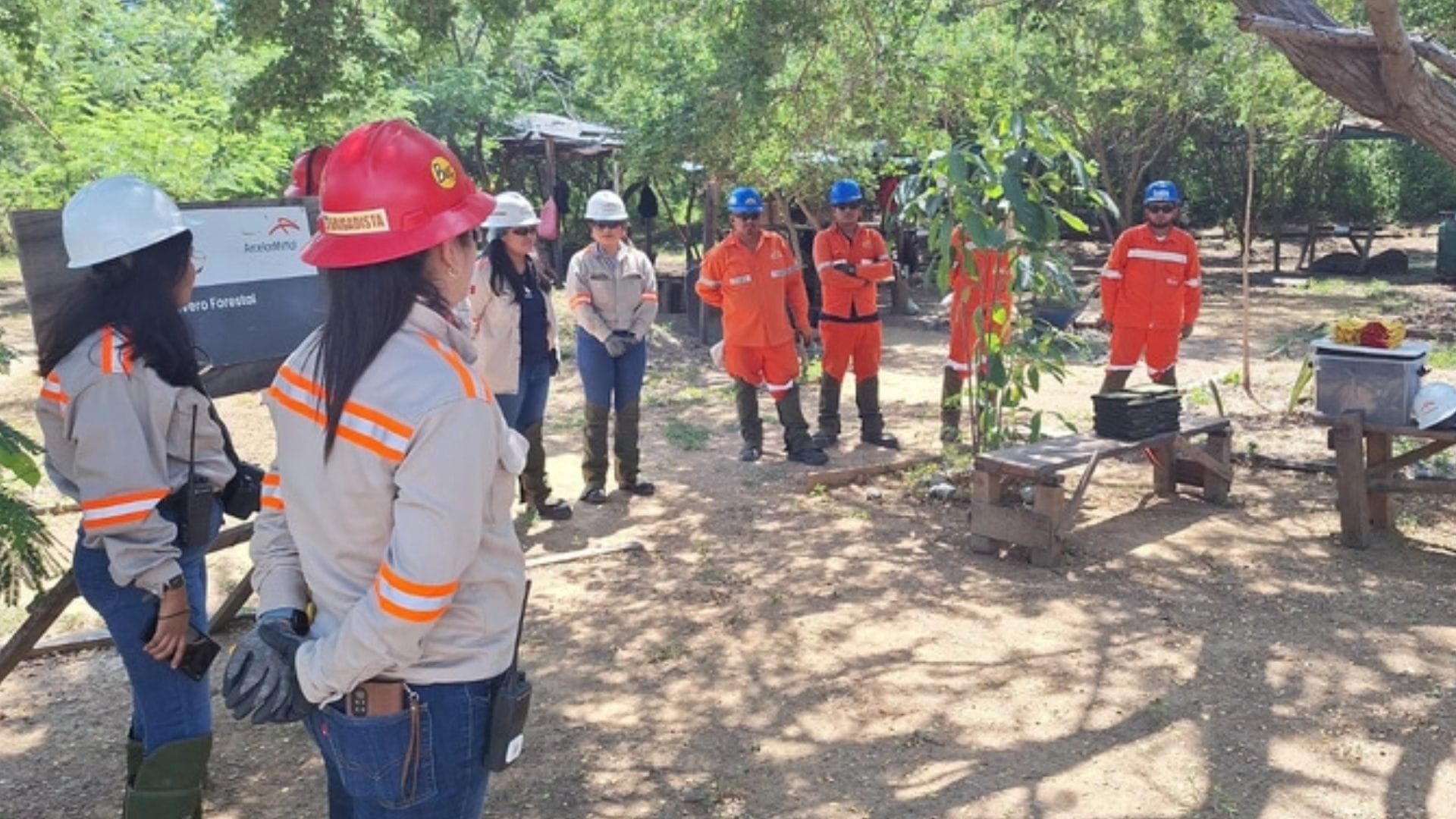 ArcelorMittal México avanza en la responsabilidad ambiental en la mina Las Truchas