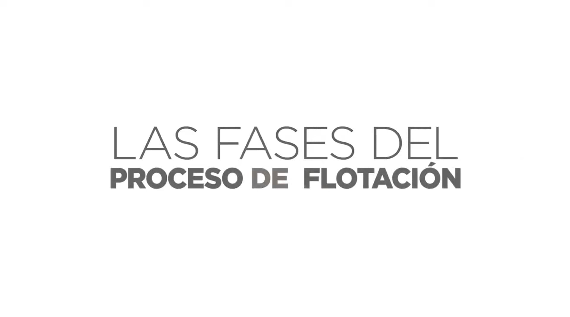 Las Fases del Proceso de Flotación.