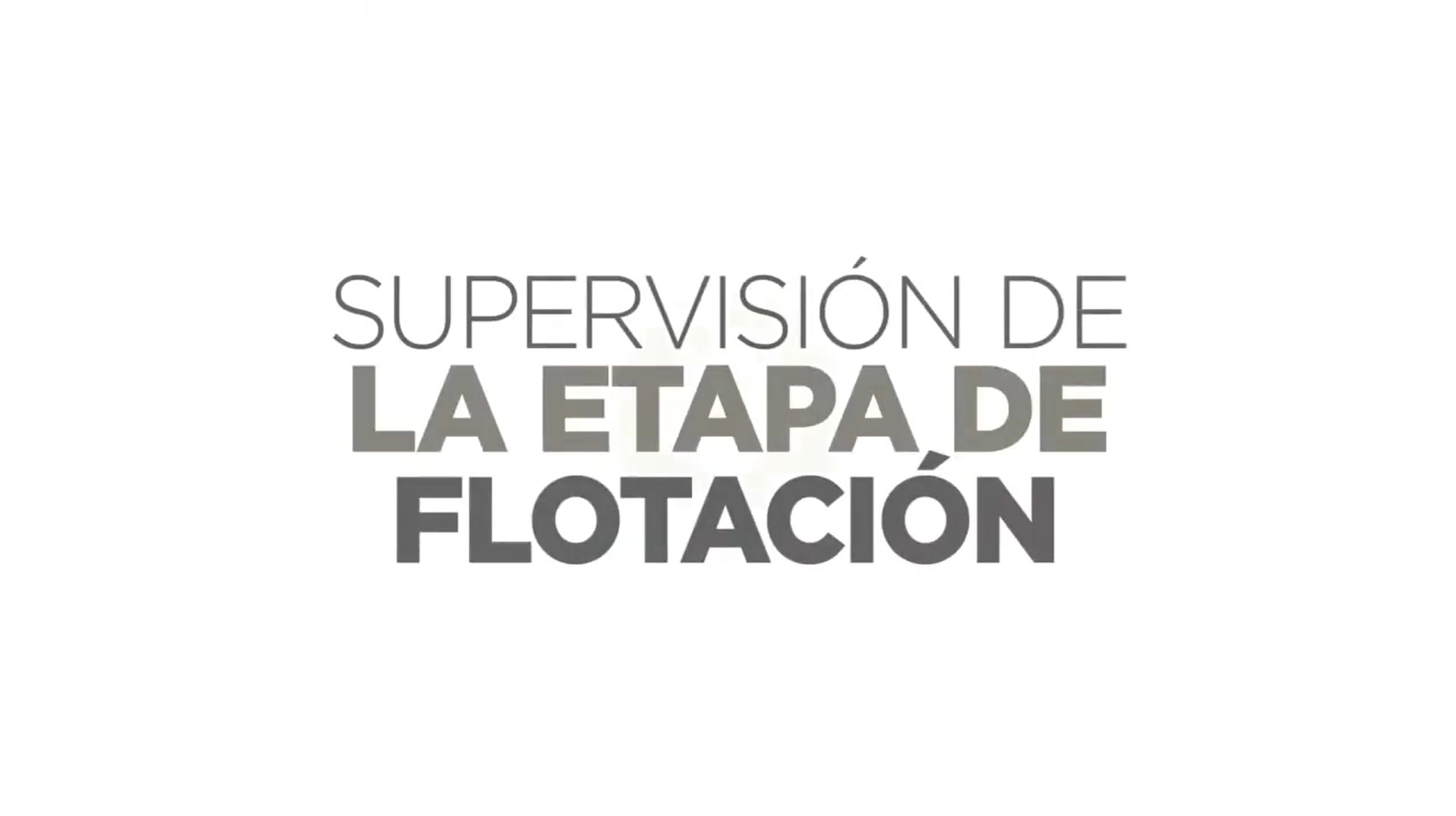 Supervisión de la Etapa de Flotación.