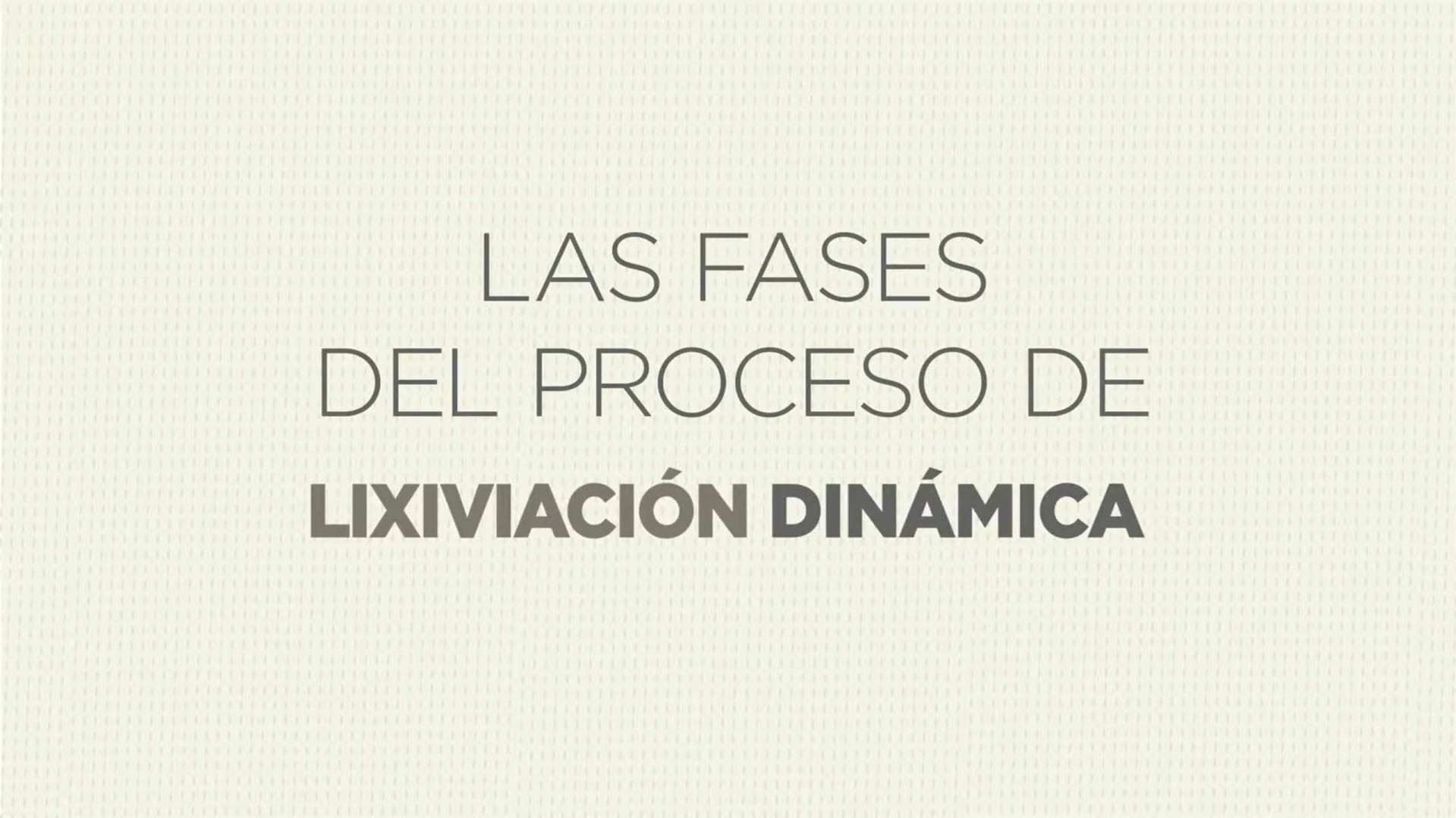 Las Fases del Proceso de Lixiviación Dinámica.