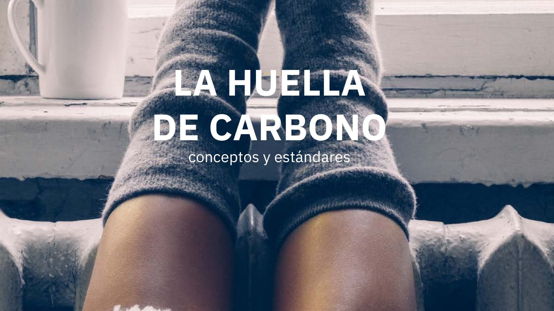 La huella de Carbono, conceptos estándares.