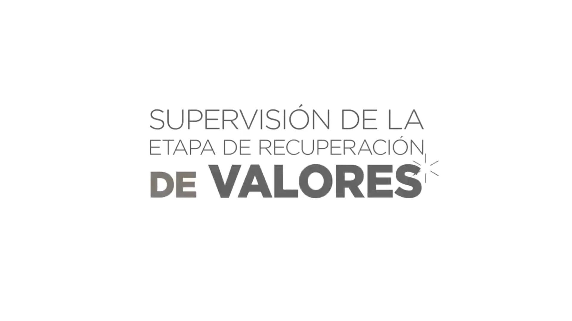 Supervisión de la Etapa de Recuperación de Valores.