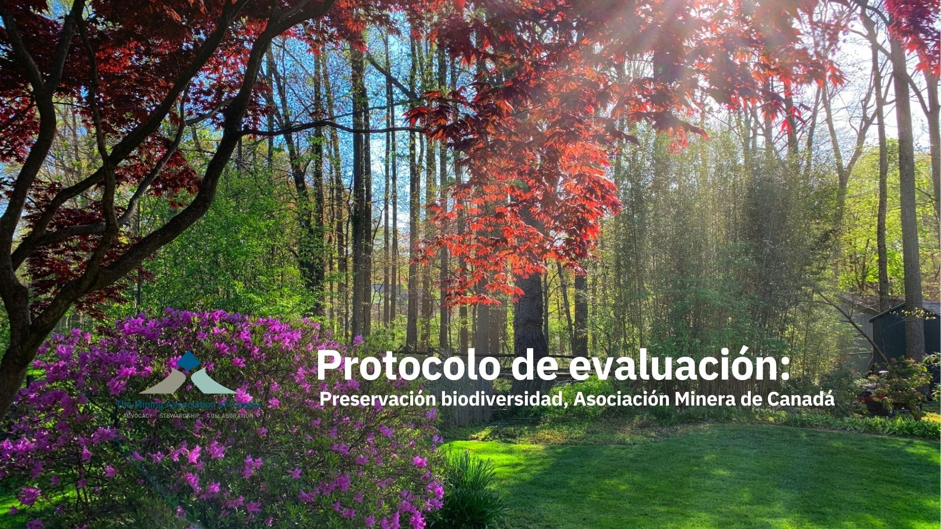 Protocolo de evaluación de preservación de la biodiversidad, Asociación Minera de Canadá