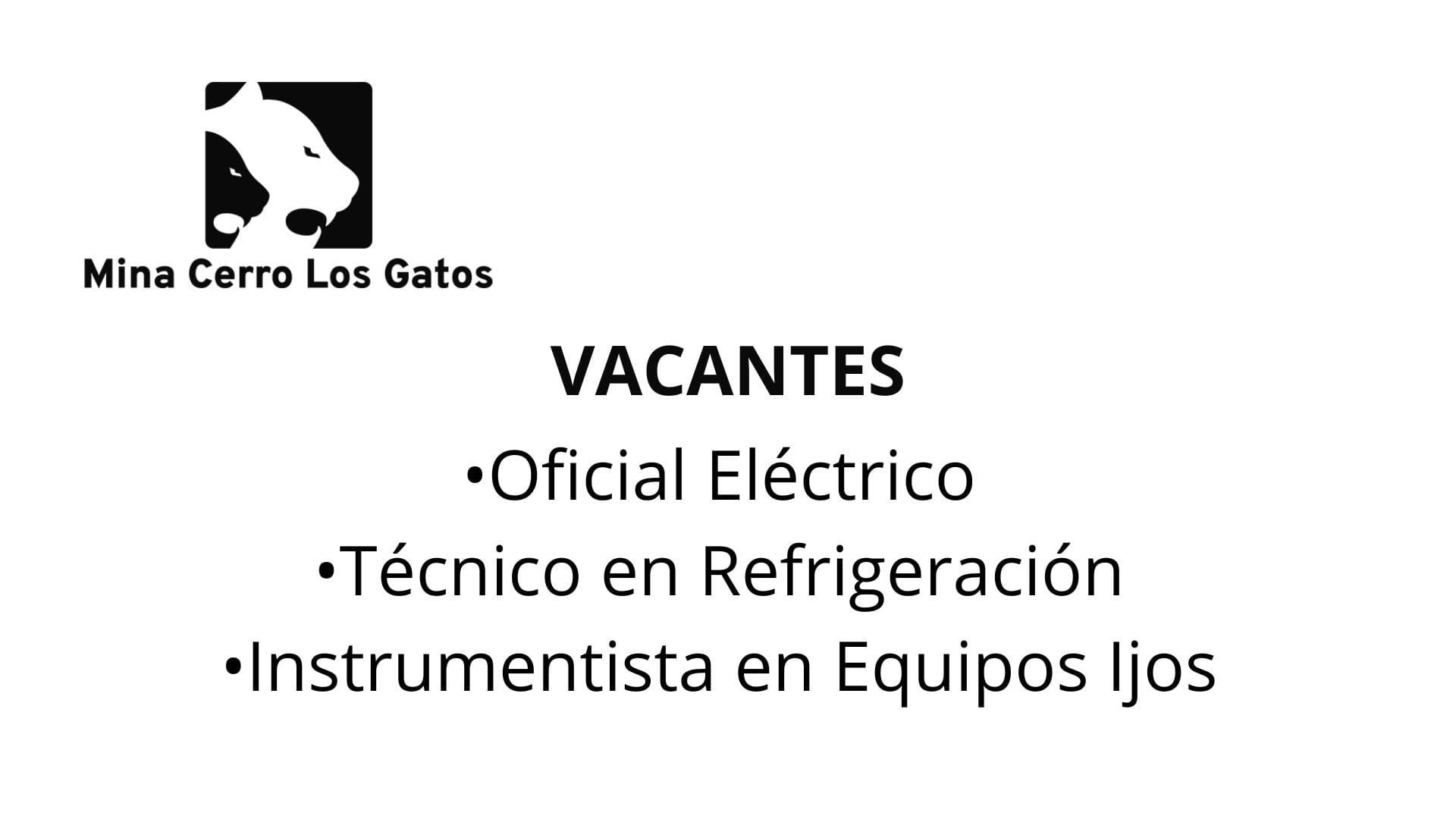 Oportunidad laboral Mina Cerro los Gatos