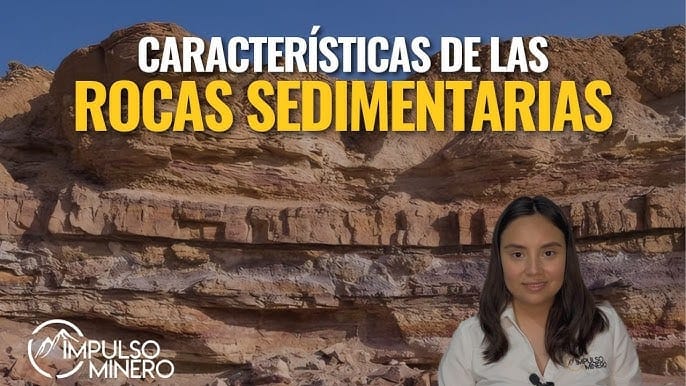 Características de las Rocas sedimentarias 🪨.