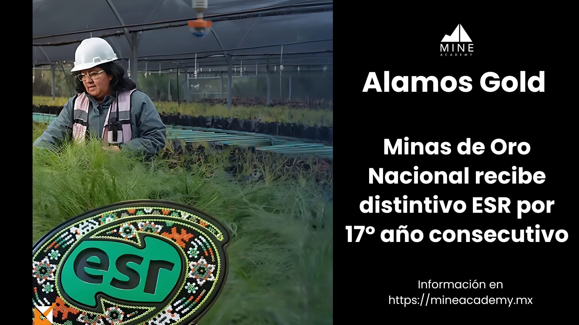 Minas de Oro Nacional recibe distintivo ESR por 17º año consecutivo
