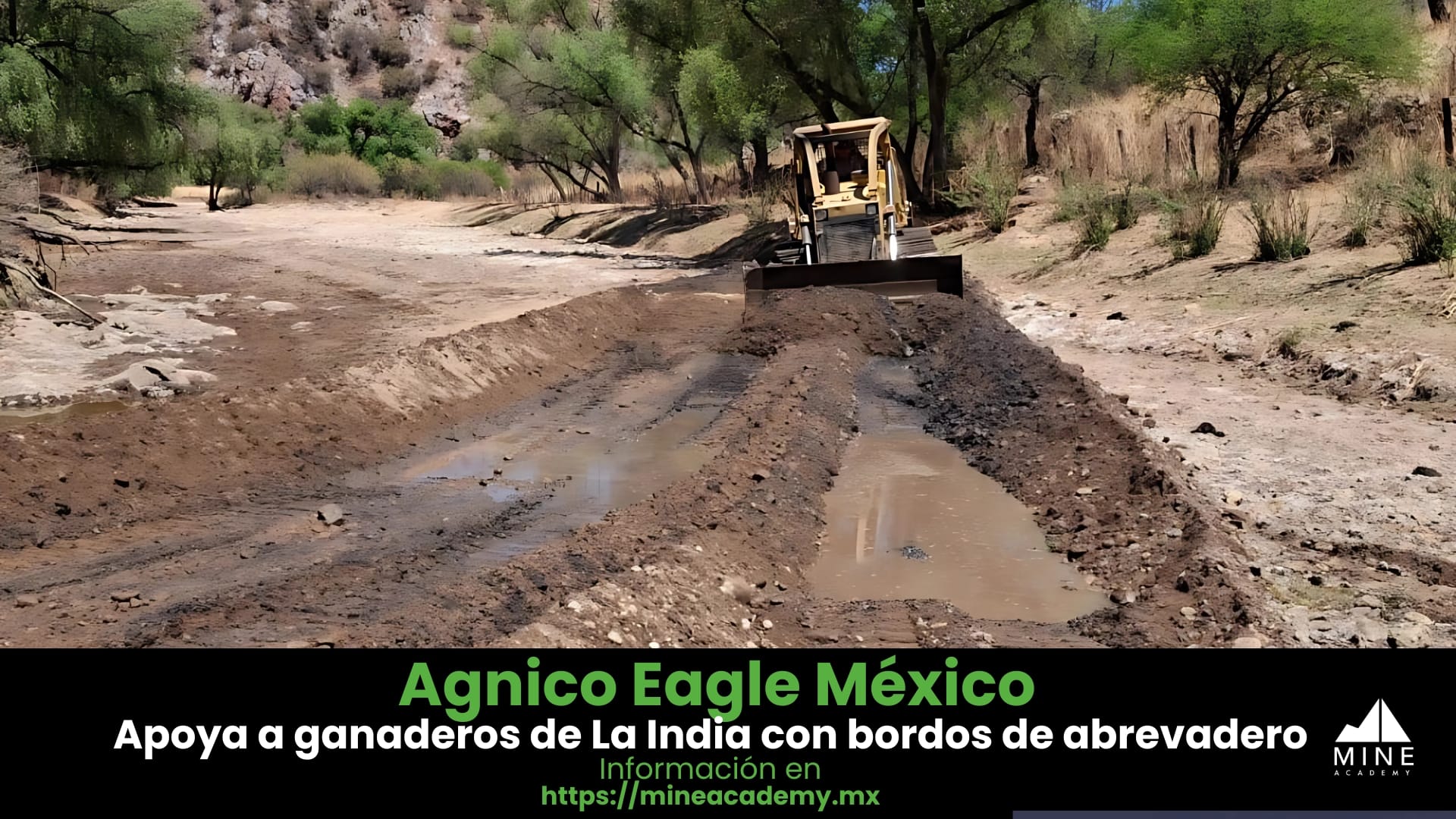 Agnico Eagle México apoya a ganaderos de La India con la construcción de bordos de abrevadero.