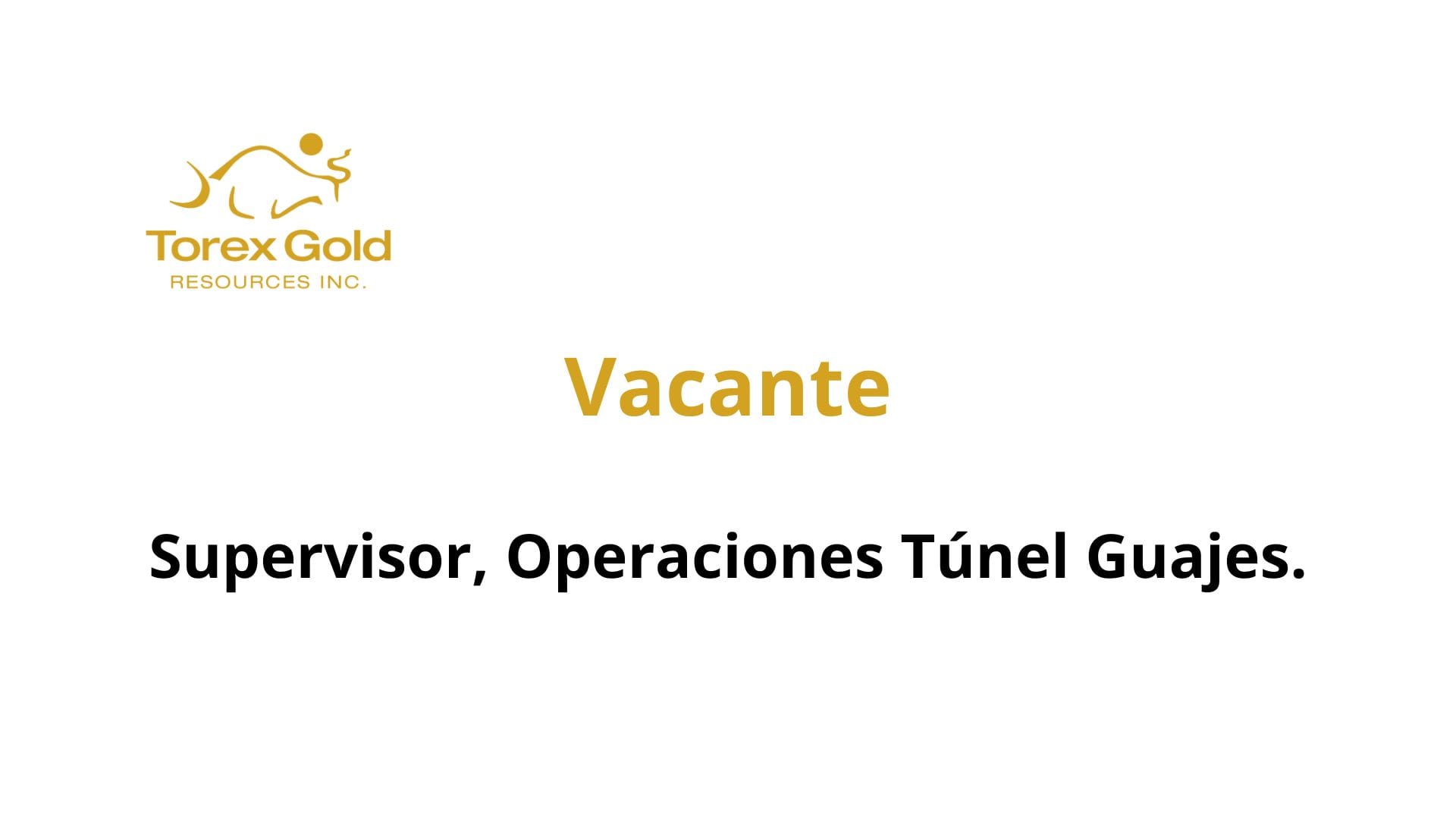 Oportunidad Laboral Torex Gold