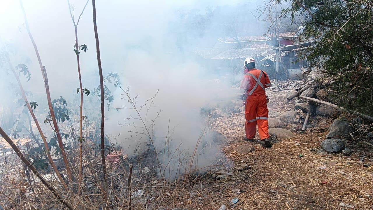Peñoles promueve acciones de combate al dengue