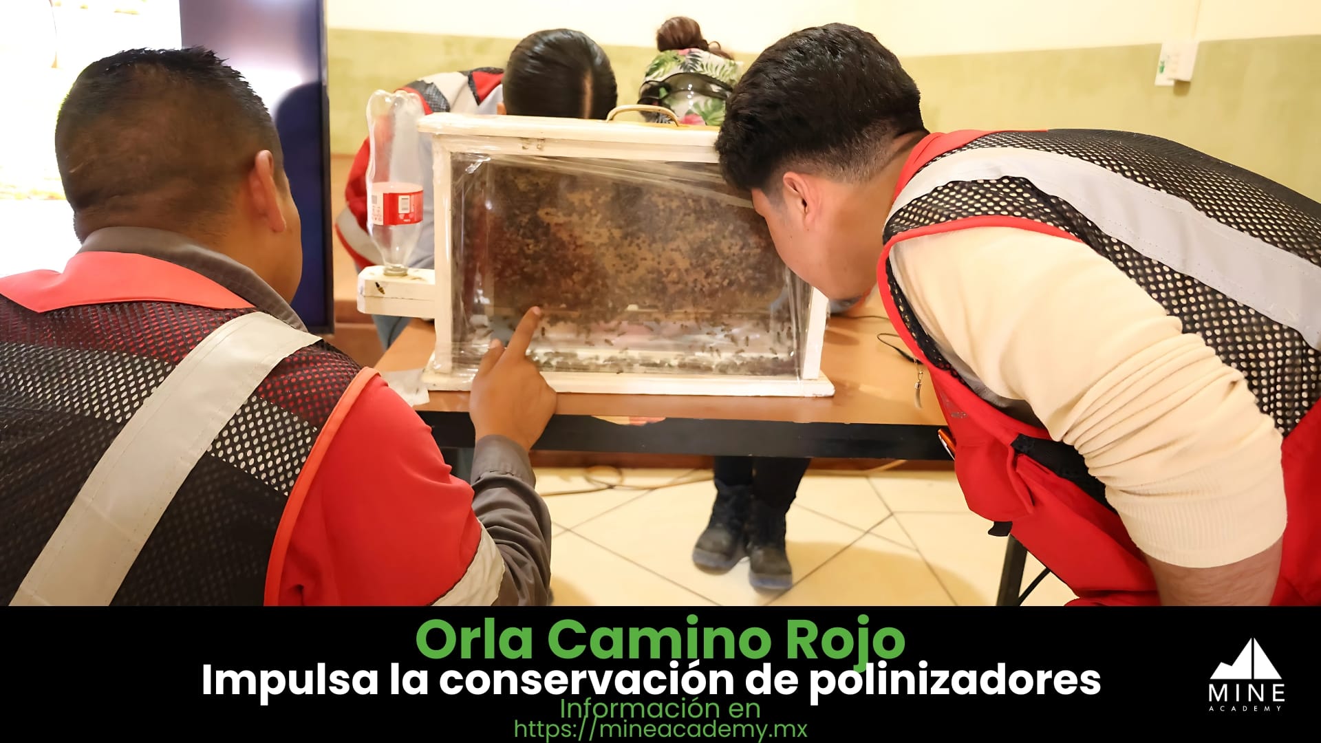 Orla Camino Rojo impulsa la conservación de polinizadores con taller de apicultura