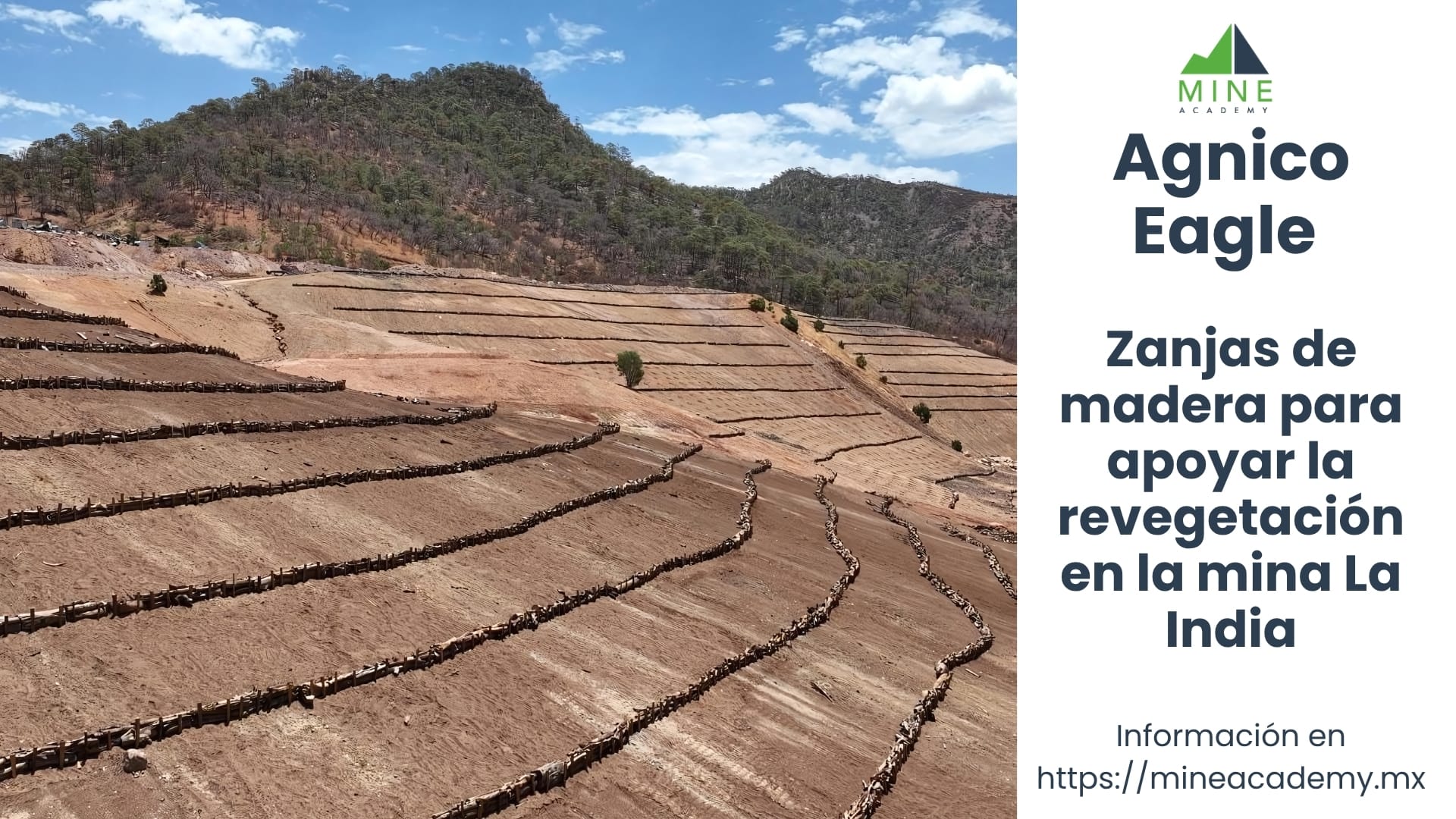 Zanjas de madera para apoyar la revegetación en la mina La India