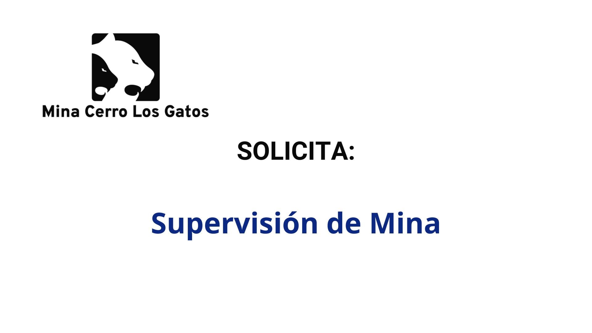 Oportunidad Laboral Guanajuato Silver