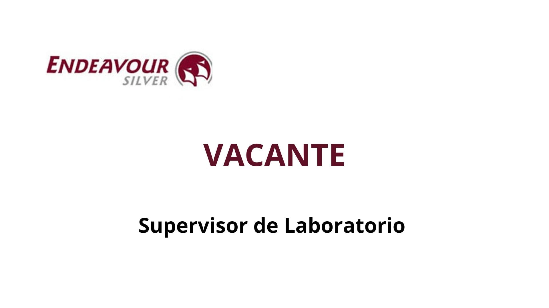 Oportunidad Laboral Endeavour Silver